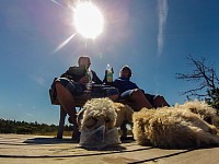 Familienurlaub mit den Hunden