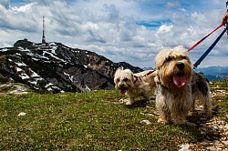 Henja und Lewin haben die Berge Kärnten‘s „erobert“