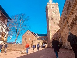 Wartburg Dandie Dinmont Terrier of Belltower