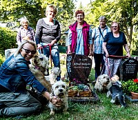 Birkicht Parkwalddandies Dandie Dinmont Terrier