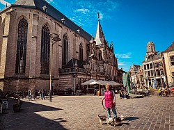 Markt von Zwolle