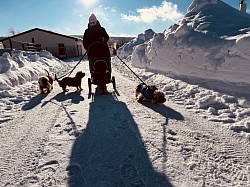 Winterspaziergang der ganzen Bande