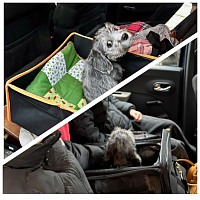 Blue und Bastiaan reisen zu ihren neuen Familien